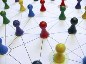 开云首页登录-中国篮球青训教练员能力提升路径，篮球青训师的待遇怎么样