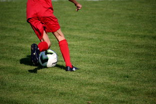 kaiyun登录入口-篮球运动员心理韧性培养及心理干预体系建设，篮球运动员心理素质的重要性